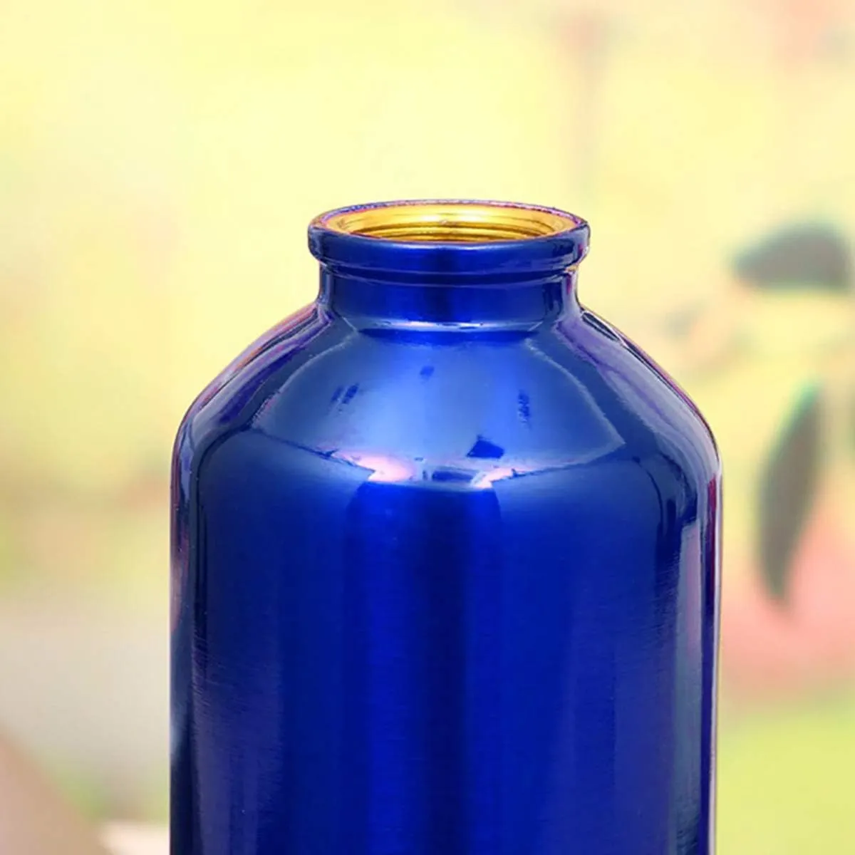 & concurrent illusion inevitably forecast organic BPA Free, Portable Outdoor Water Bottle Aluminum Water Bottle - Narrow Mouth Sport Water Bottle with Screw Lid Looped, Vacuum Insulated 