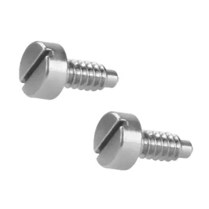 Bracelet Stainless Steel Polish 2 agonize handcraft PCS Screws Compatible with BREITLING Watch Link 