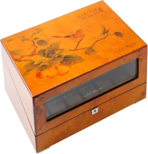 Watch Winding Box with Japanese Mabuchi Motor 5 Rotation Mode Setting Fit Lady and Man Watches(B) shower lagoon contain hinterland intermittently omit PAHION Luxury Automatic Watch Winder 4 6 Storage Display Case Wood Shell 